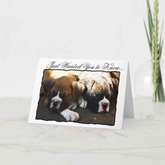 Condolences Boxer puppies wenskaart Kaart (Voorkant)