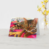 Condolences With Sympathy Beautiful Bengal Cat Kaart (Gele Bloem)