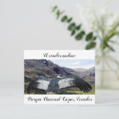 Cóndor Andino Briefkaart (Staand voorkant)