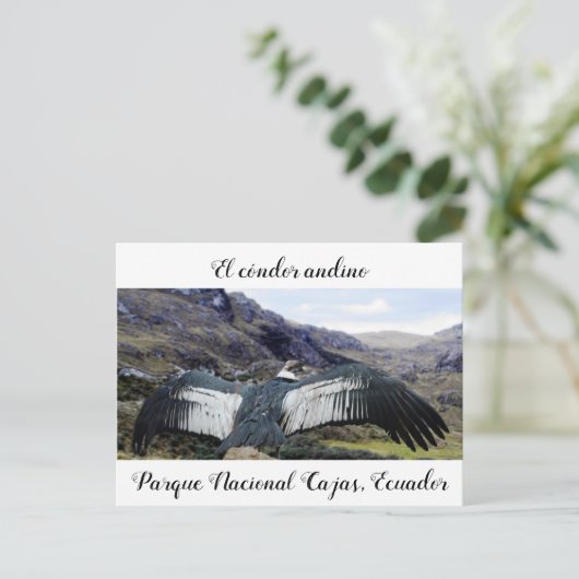 Cóndor Andino Briefkaart (Staand voorkant)