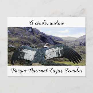 Cóndor Andino Briefkaart