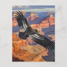 Condor in het Grand Canyon National Park