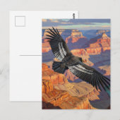 Condor in het Grand Canyon National Park Briefkaart (Voorkant / Achterkant)