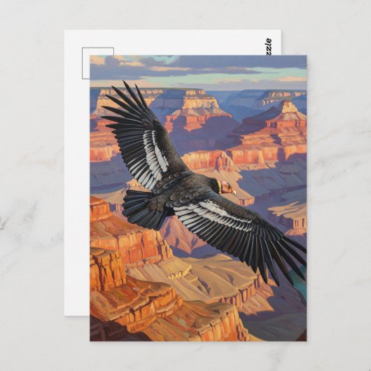 Condor in het Grand Canyon National Park Briefkaart (Voorkant / Achterkant)