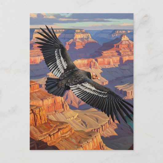 Condor in het Grand Canyon National Park Briefkaart (Voorkant)