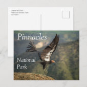 Condor in Vlucht, Pinnacles National Park, Califor Briefkaart (Voorkant / Achterkant)