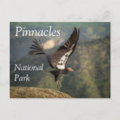 Condor in Vlucht, Pinnacles National Park, Califor Briefkaart (Voorkant)