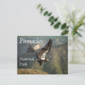 Condor in Vlucht, Pinnacles National Park, Califor Briefkaart (Staand voorkant)