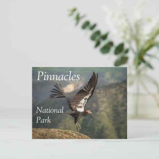 Condor in Vlucht, Pinnacles National Park, Califor Briefkaart (Staand voorkant)