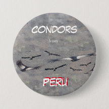 Condors uit Peru-Button