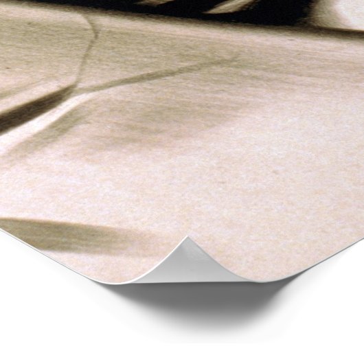  Conductor Huge Mustache Retro Poster (Hoek)