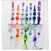 Cone-cellen en bipolair neuron van de retina douchegordijn (Voorkant)