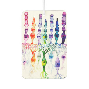 Cone-cellen en bipolair neuron van de retina luchtverfrisser