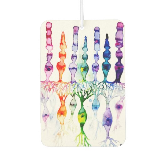 Cone-cellen en bipolair neuron van de retina luchtverfrisser (Voorkant)