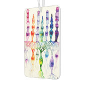 Cone-cellen en bipolair neuron van de retina luchtverfrisser (Links)