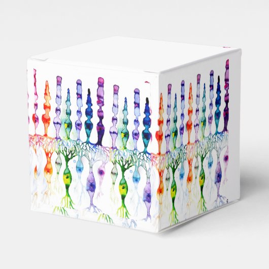 Cone-cellen en bipolaire neurond van het netvlies bedankdoosjes (Voorkant Zijde)