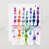 Cone-cellen en bipolaire neurond van het netvlies briefkaart (Voorkant / Achterkant)