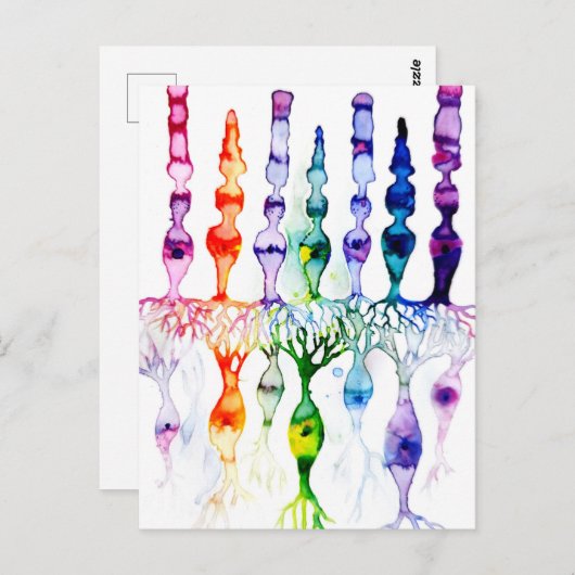 Cone-cellen en bipolaire neurond van het netvlies briefkaart (Voorkant / Achterkant)