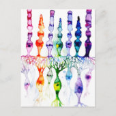 Cone-cellen en bipolaire neurond van het netvlies briefkaart (Voorkant)