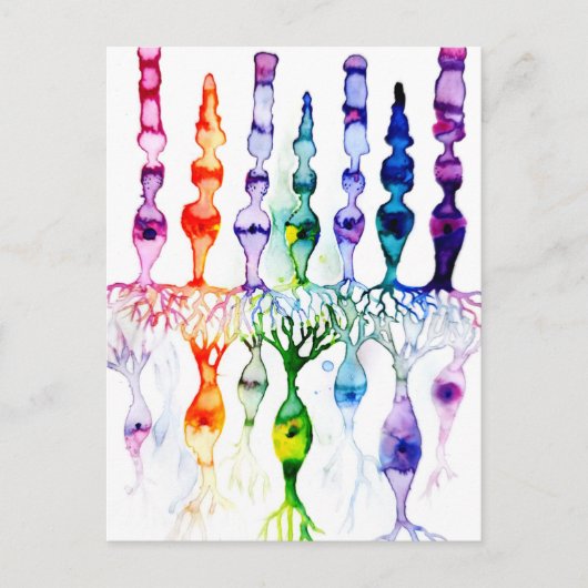 Cone-cellen en bipolaire neurond van het netvlies briefkaart (Voorkant)