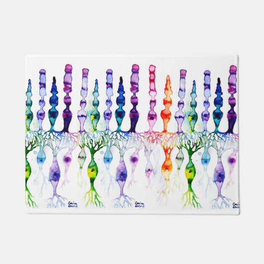 Cone-cellen en bipolaire neurond van het netvlies deurmat (Voorkant)