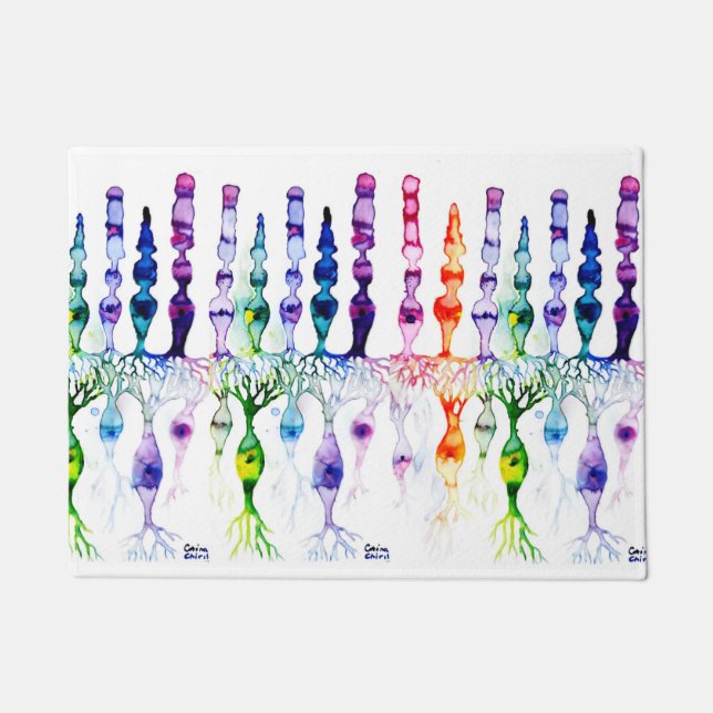 Cone-cellen en bipolaire neurond van het netvlies deurmat (Voorkant)