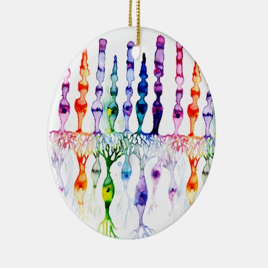 Cone-cellen en bipolaire neurond van het netvlies keramisch ornament (Rechts)