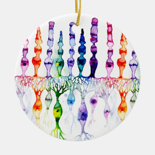 Cone-cellen en bipolaire neurond van het netvlies keramisch ornament (Voorkant)