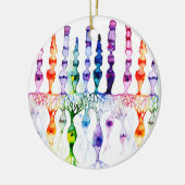 Cone-cellen en bipolaire neurond van het netvlies keramisch ornament (Links)