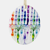 Cone-cellen en bipolaire neurond van het netvlies keramisch ornament (Rechts)