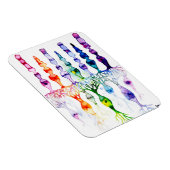 Cone-cellen en bipolaire neurond van het netvlies magneet (Rechterzijde)