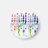 Cone-cellen en bipolaire neurond van het netvlies magneet (Voorkant)