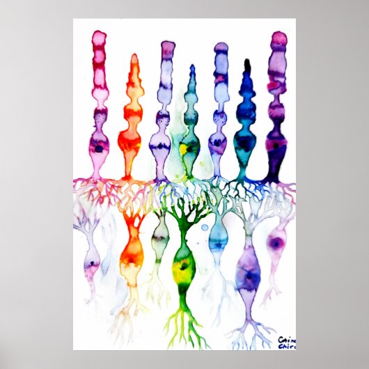 Cone-cellen en bipolaire neurond van het netvlies poster (Voorkant)