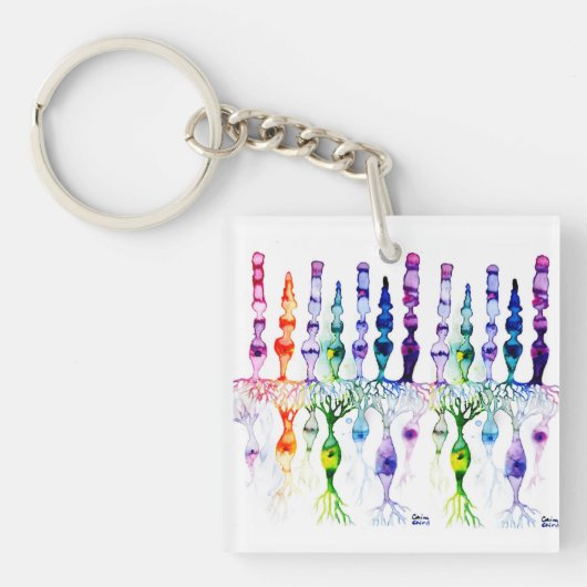 Cone-cellen en bipolaire neurond van het netvlies sleutelhanger (voorkant)