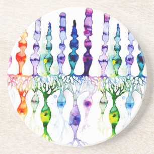 Cone-cellen en bipolaire neurond van het netvlies zandsteen onderzetter