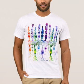 Cone cells rod cells and bipolar neurons of retina t-shirt