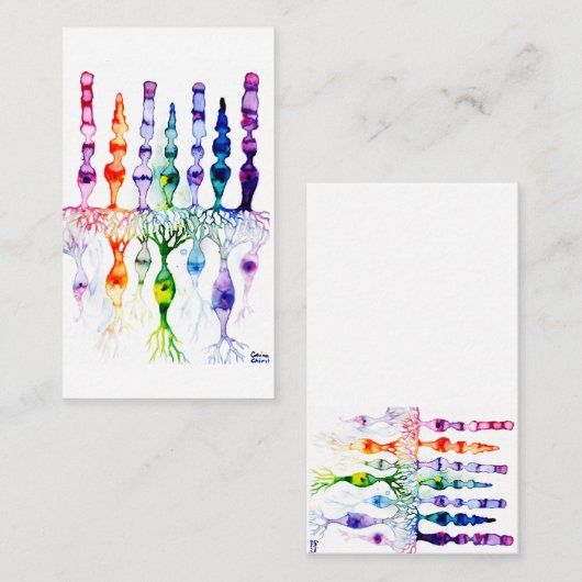 Cone cells rod cells and bipolar neurons of retina visitekaartje (Voorkant / Achterkant)