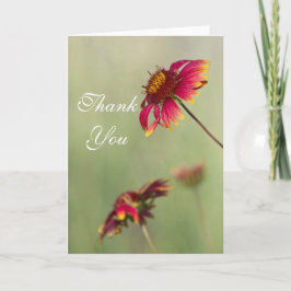 Cone Flowers beginnen te bloeien Dank je. Bedankkaart