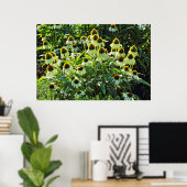 Cone Flowers, Bute Park, Cardiff, Wales Poster (Thuiskantoor)