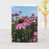 Cone Flowers Wenskaart Kaart (Gele Bloem)
