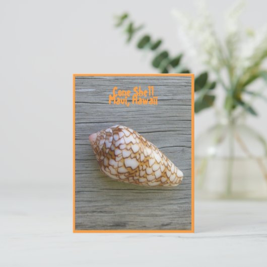 Cone Shell Briefkaart (Staand voorkant)