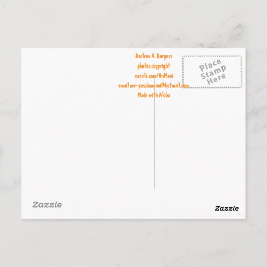 Cone Shell Briefkaart (Achterkant)