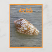 Cone Shell Briefkaart (Voorkant)