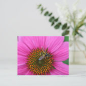 Conefloer Briefkaart (Staand voorkant)