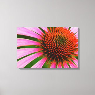 Conefloer Canvas Afdruk