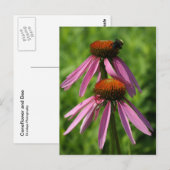 Conefloer en bijen briefkaart (Voorkant / Achterkant)