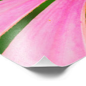 Conefloer Foto Afdruk (Hoek)