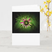 Conefloer, kaart (Gele Bloem)