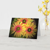 Conefloer, kaart (Gele Bloem)