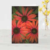 Conefloer, kaart (Gele Bloem)